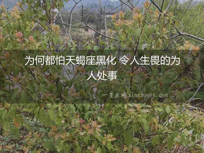 為何都怕天蝎座黑化 令人生畏的為人處事