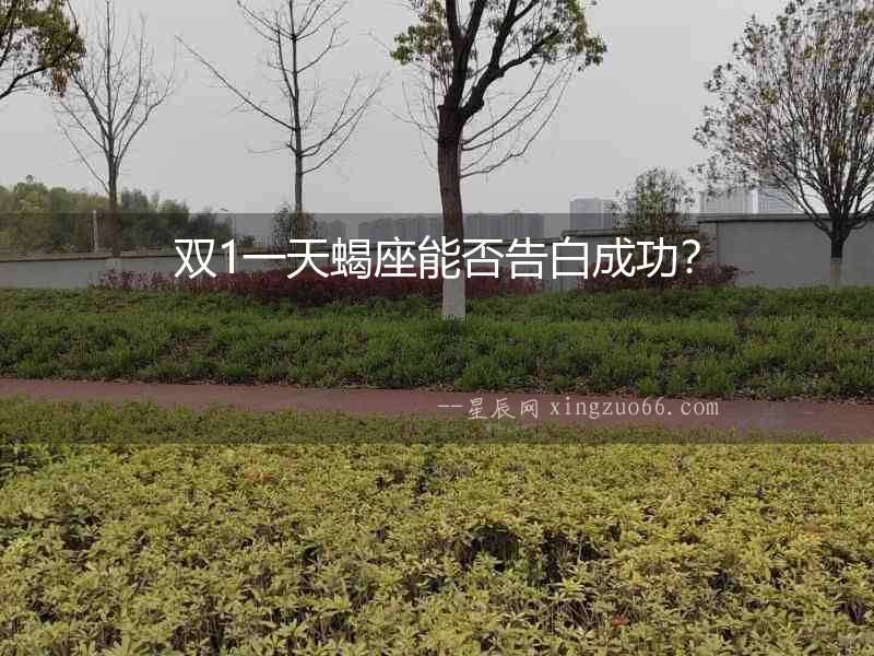 雙1一天蝎座能否告白成功？