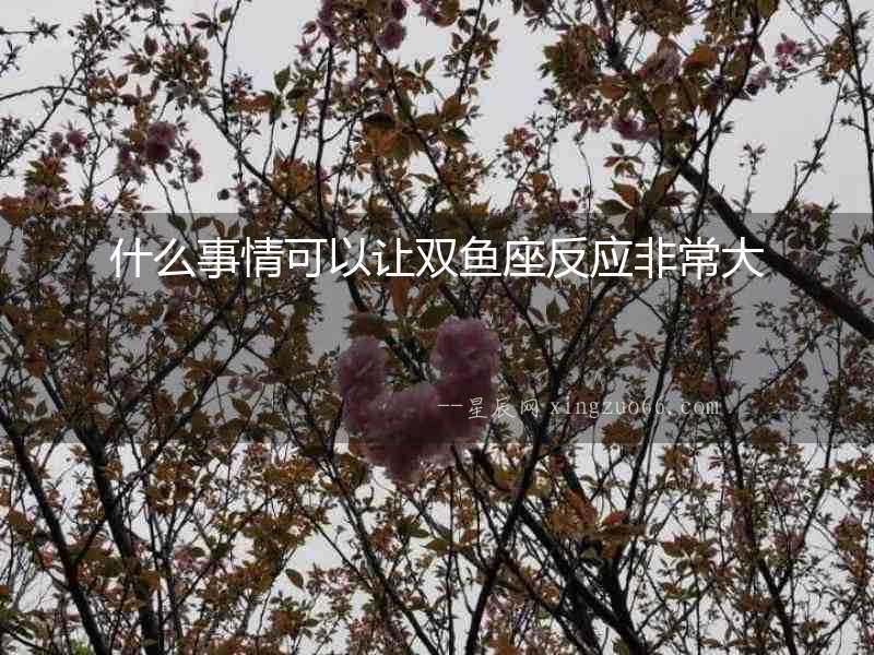 什么事情可以讓雙魚座反應(yīng)非常大