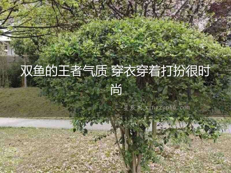 雙魚的王者氣質(zhì) 穿衣穿著打扮很時尚