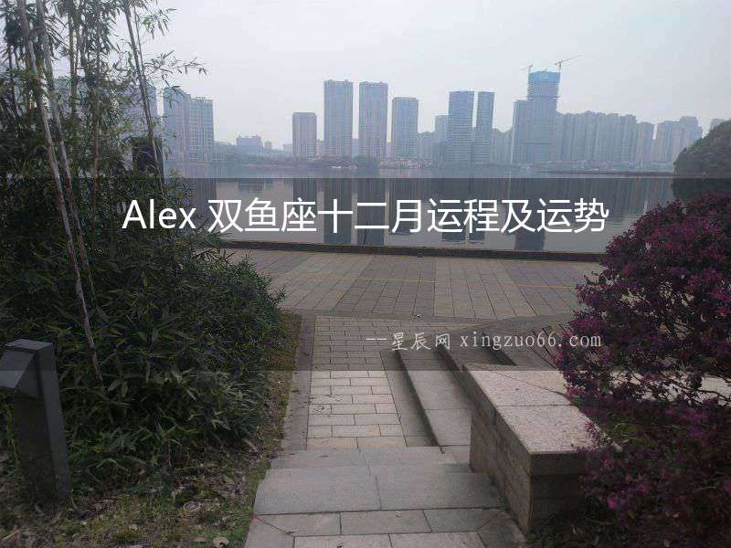 Alex 雙魚座十二月運程及運勢