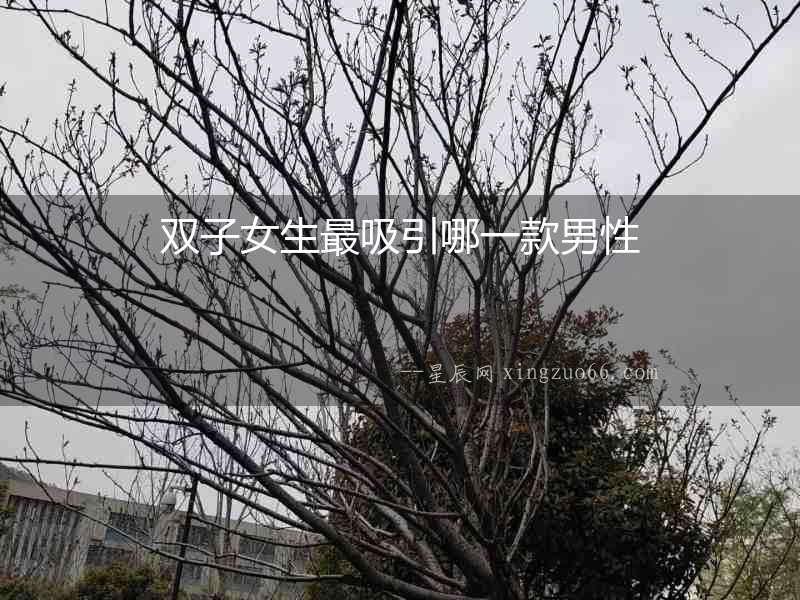 雙子女生最吸引哪一款男性