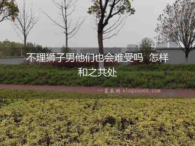 不理獅子男他們也會(huì)難受嗎  怎樣和之共處