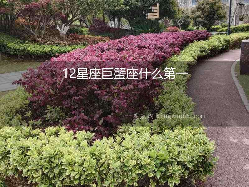 12星座巨蟹座什么第一