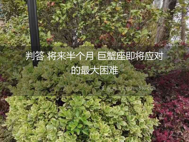 判答 將來半個月 巨蟹座即將應對的最大困難