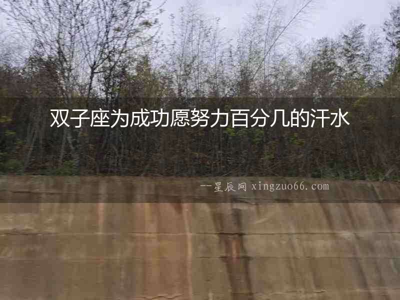 雙子座為成功愿努力百分幾的汗水