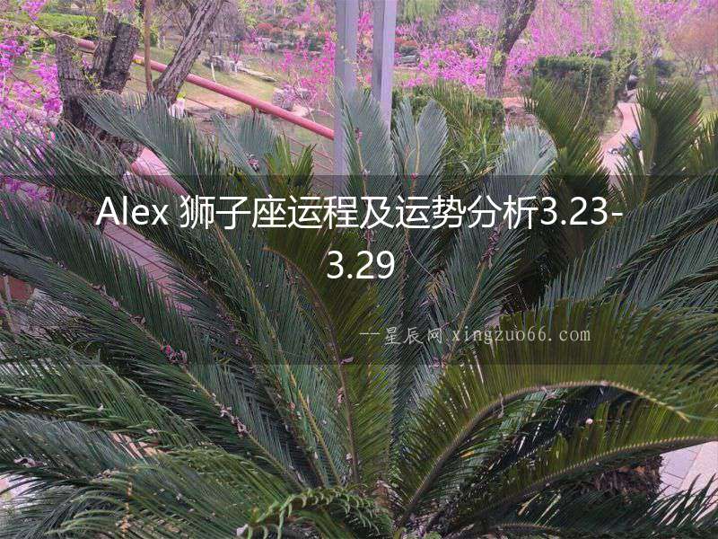 Alex 獅子座運程及運勢分析3.23-3.29