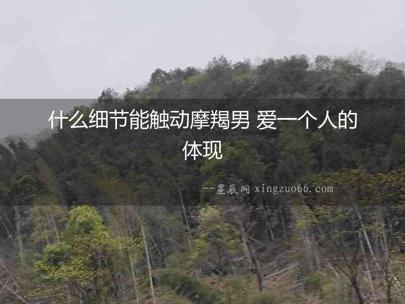 什么細節能觸動摩羯男 愛一個人的體現