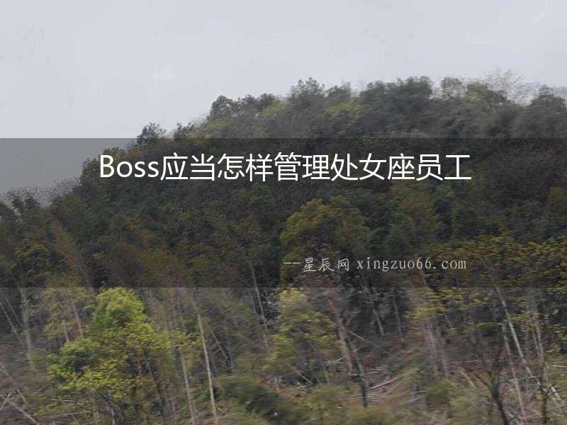 Boss應當怎樣管理處女座員工