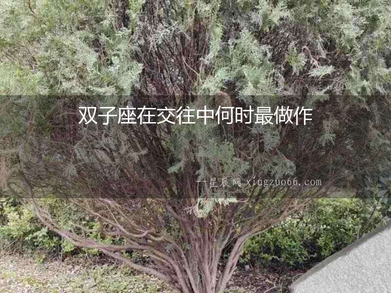 雙子座在交往中何時(shí)最做作