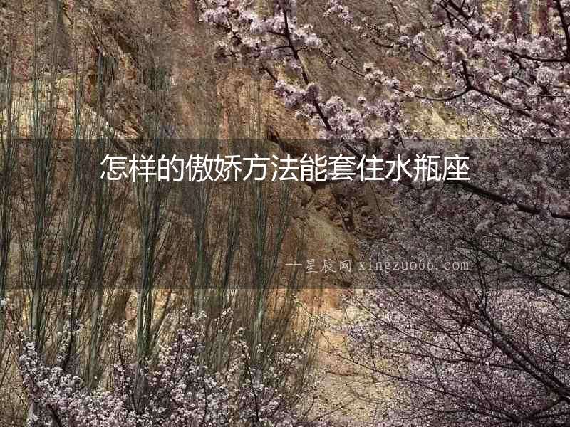 怎樣的傲嬌方法能套住水瓶座