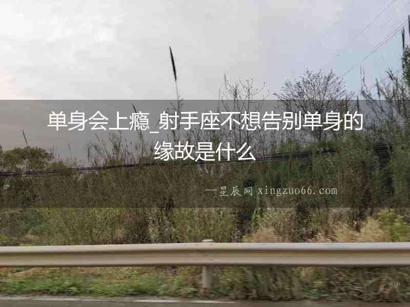 單身會上癮_射手座不想告別單身的緣故是什么