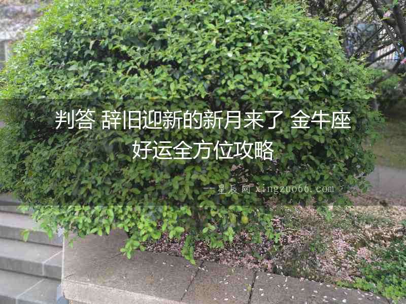 判答 辭舊迎新的新月來了 金牛座好運全方位攻略