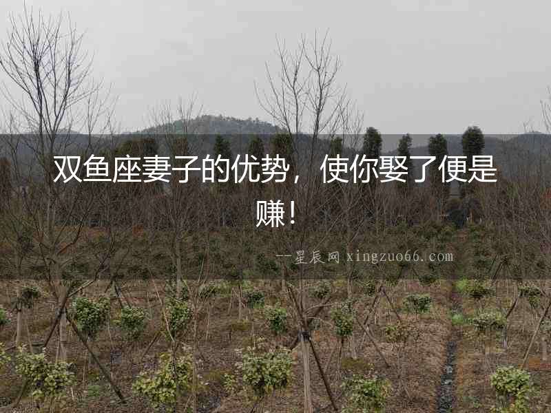 雙魚座妻子的優勢，使你娶了便是賺！