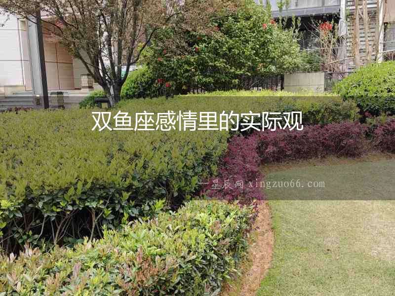 雙魚座感情里的實際觀
