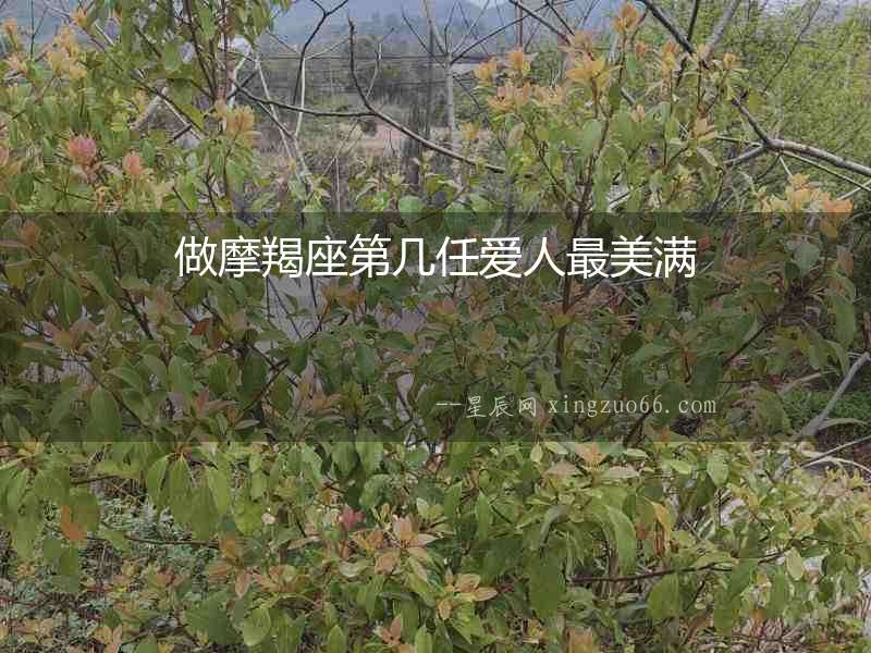 做摩羯座第幾任愛(ài)人最美滿