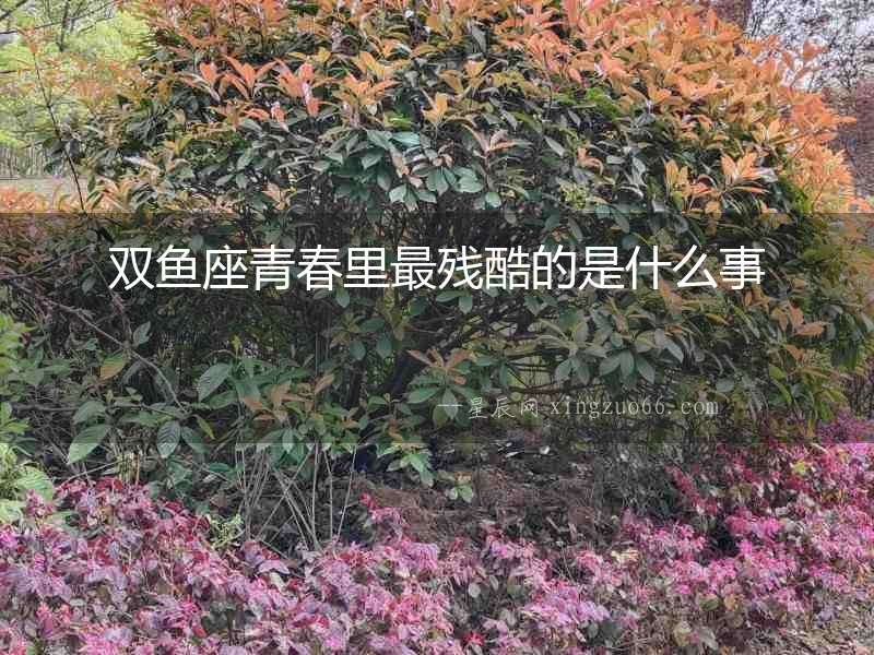 雙魚座青春里最殘酷的是什么事