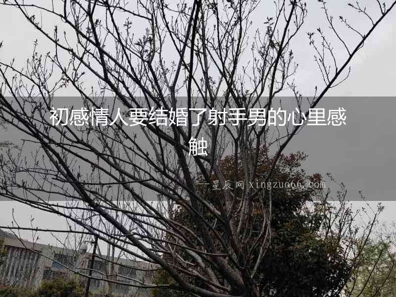 初感情人要結婚了射手男的心里感觸