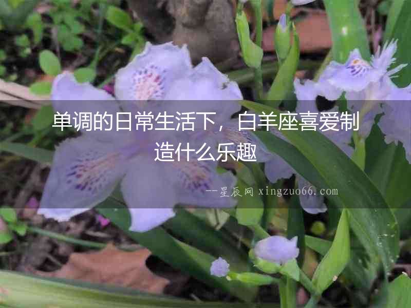 單調(diào)的日常生活下，白羊座喜愛制造什么樂趣