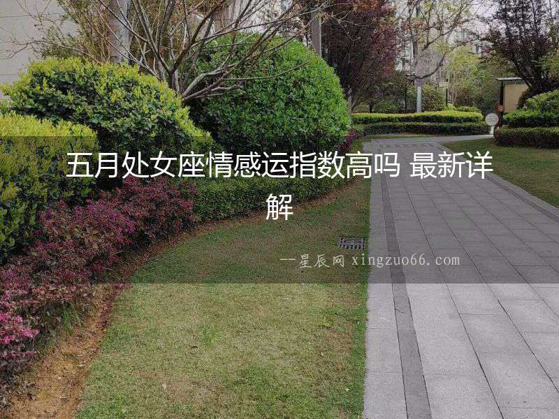 五月處女座情感運指數高嗎 最新詳解