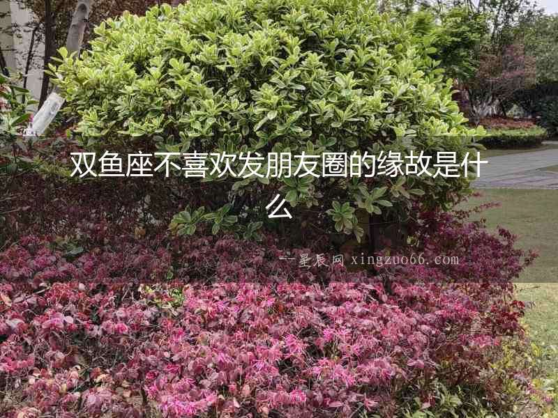 雙魚座不喜歡發朋友圈的緣故是什么