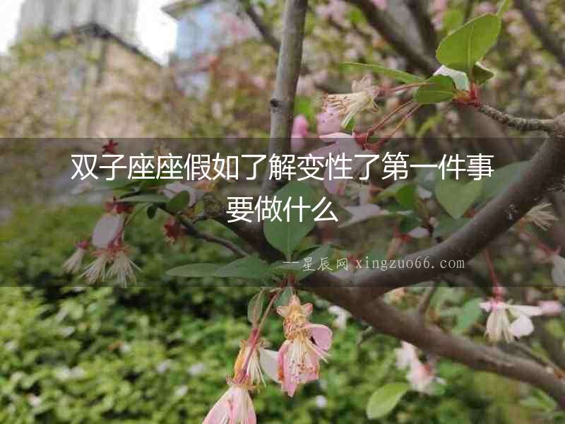 雙子座座假如了解變性了第一件事要做什么