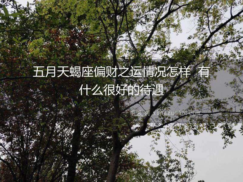 五月天蝎座偏財之運情況怎樣  有什么很好的待遇