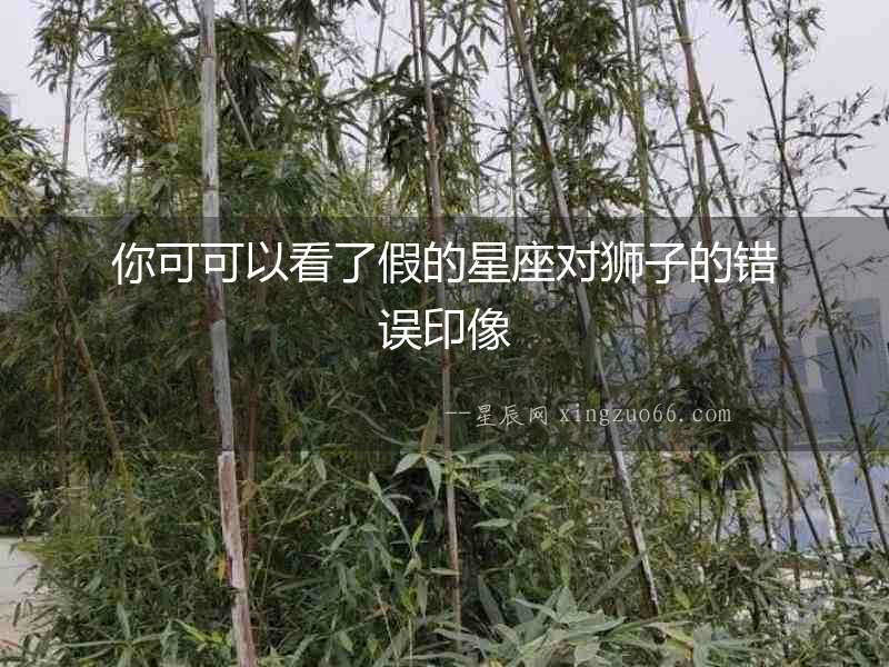你可可以看了假的星座對獅子的錯誤印像