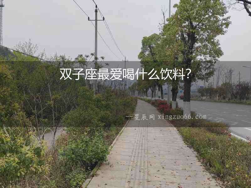 雙子座最?lèi)?ài)喝什么飲料？
