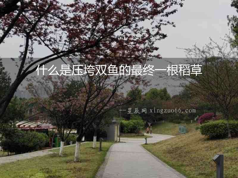 什么是壓垮雙魚(yú)的最終一根稻草