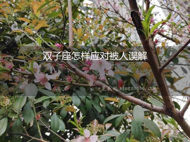 雙子座怎樣應(yīng)對被人誤解