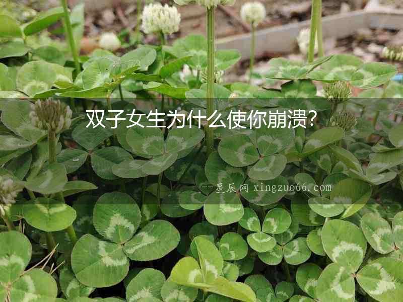 雙子女生為什么使你崩潰？