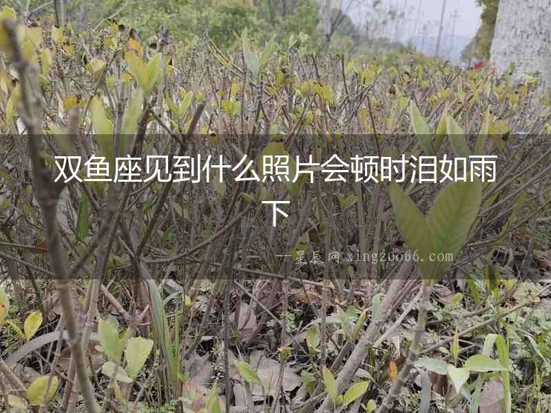雙魚座見到什么照片會頓時淚如雨下