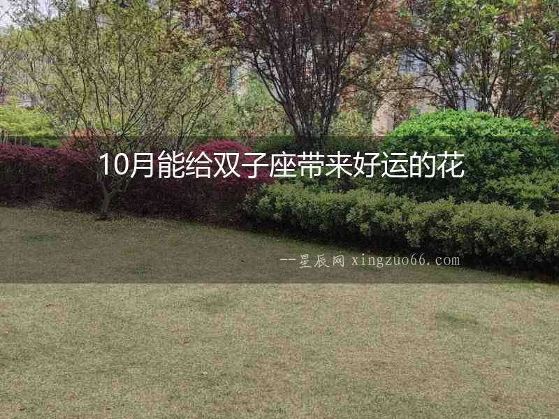 10月能給雙子座帶來好運(yùn)的花