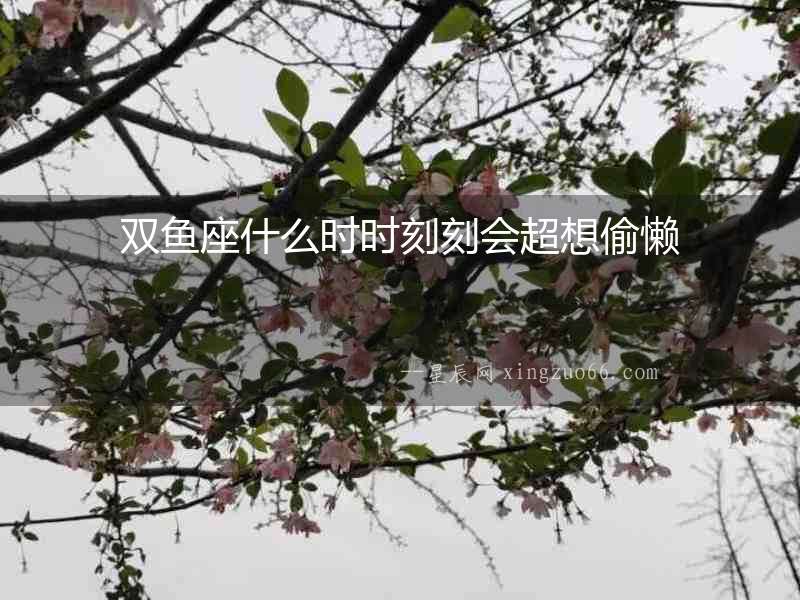 雙魚座什么時時刻刻會超想偷懶
