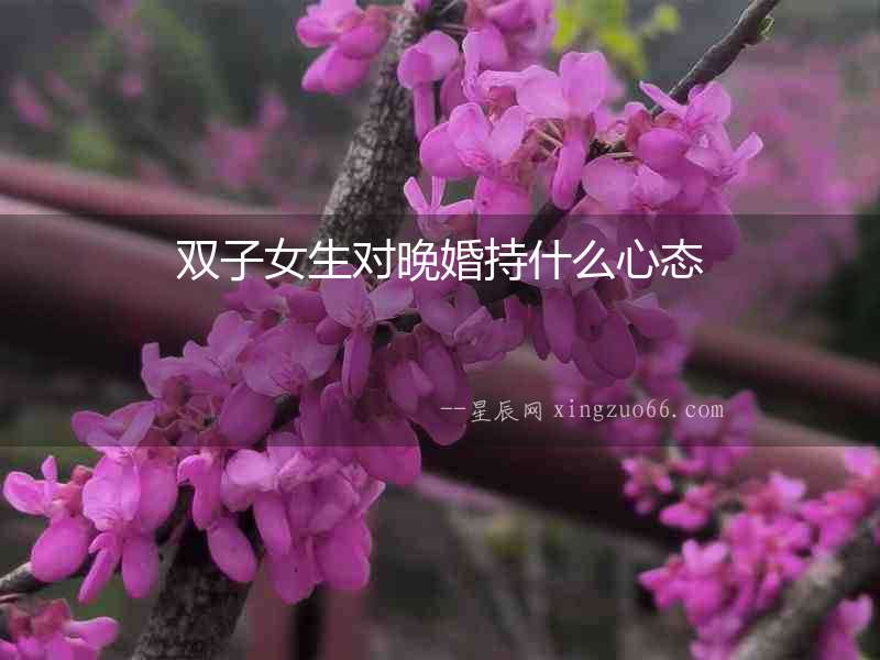 雙子女生對(duì)晚婚持什么心態(tài)