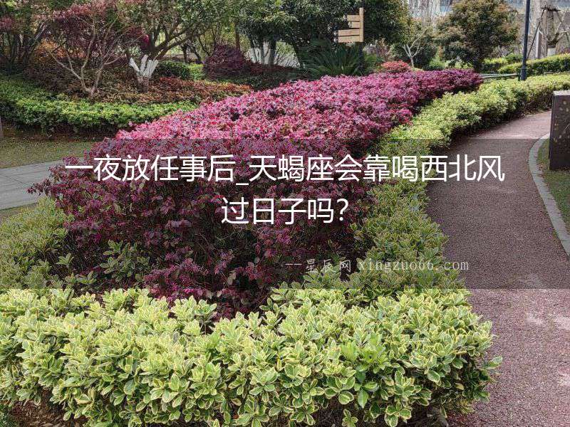 一夜放任事后_天蝎座會靠喝西北風(fēng)過日子嗎？