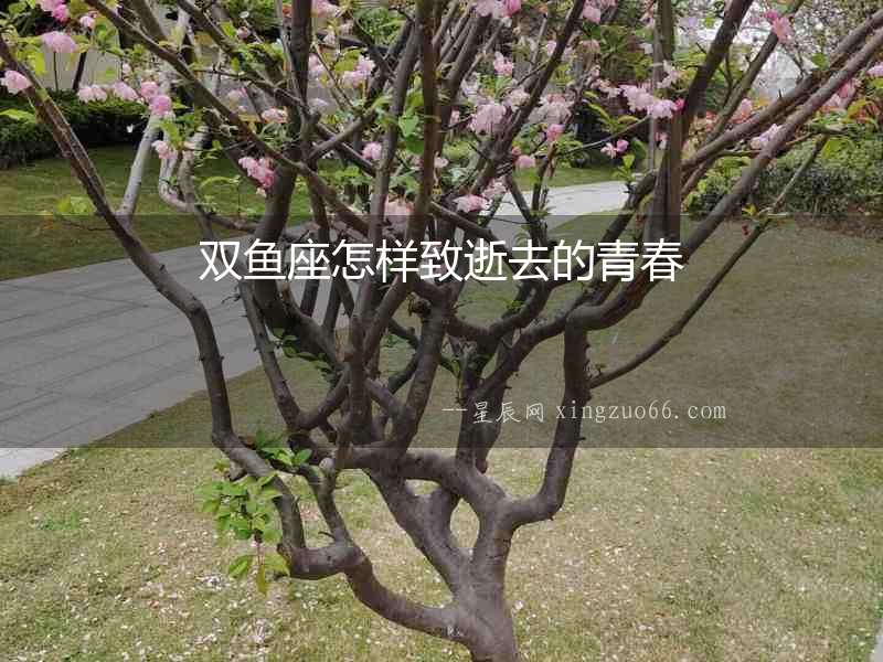 雙魚座怎樣致逝去的青春