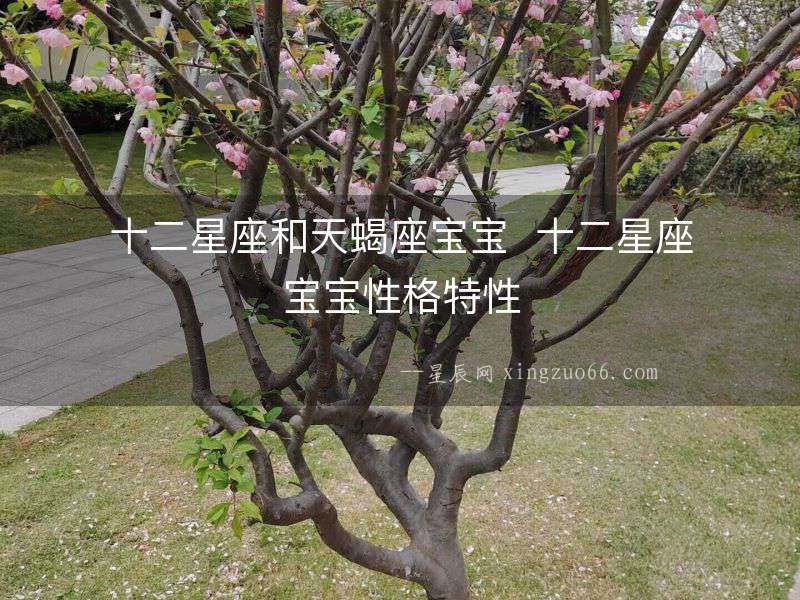十二星座和天蝎座寶寶  十二星座寶寶性格特性