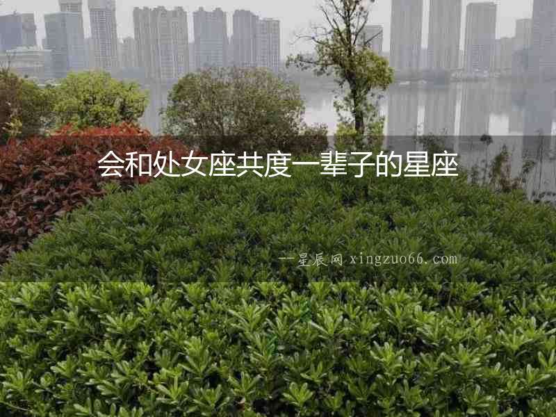 會(huì)和處女座共度一輩子的星座