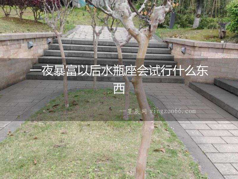 一夜暴富以后水瓶座會試行什么東西