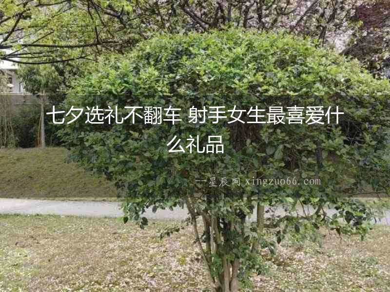七夕選禮不翻車 射手女生最喜愛什么禮品