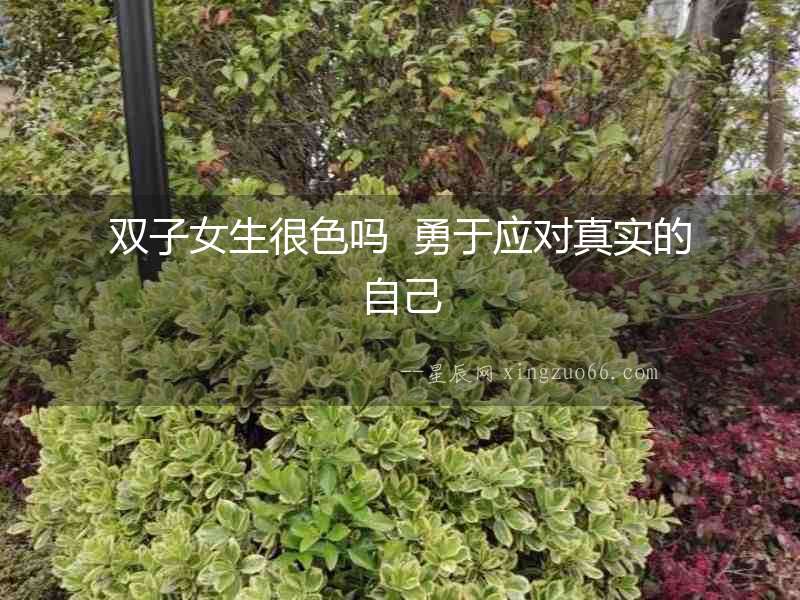 雙子女生很色嗎  勇于應對真實的自己