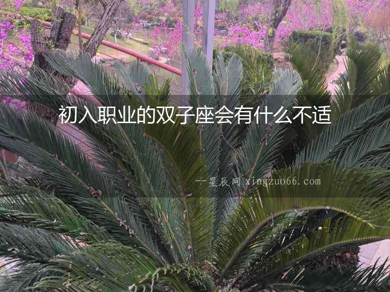 初入職業的雙子座會有什么不適