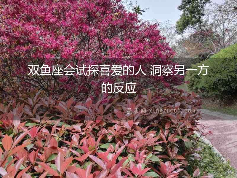 雙魚座會試探喜愛的人 洞察另一方的反應