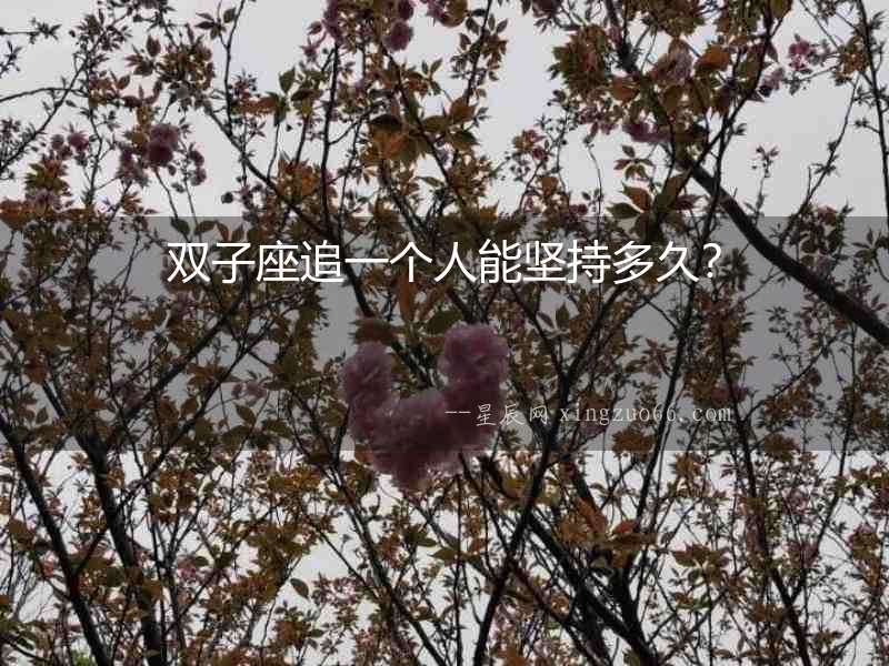 雙子座追一個人能堅持多久？