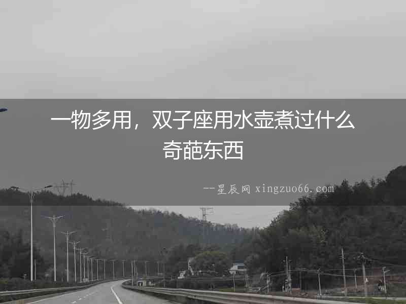 一物多用，雙子座用水壺煮過什么奇葩東西