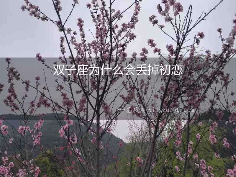 雙子座為什么會(huì)丟掉初戀