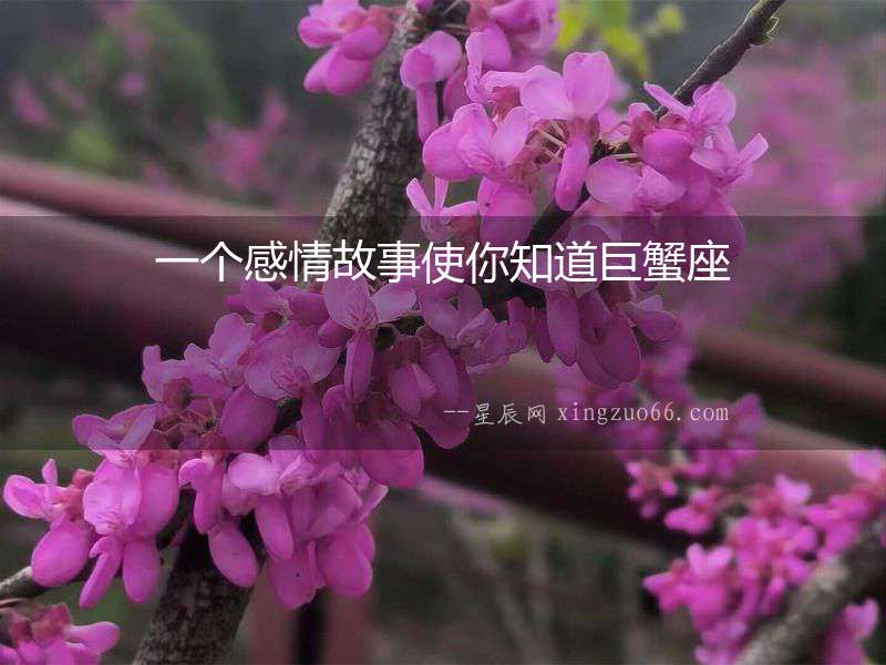 一個(gè)感情故事使你知道巨蟹座