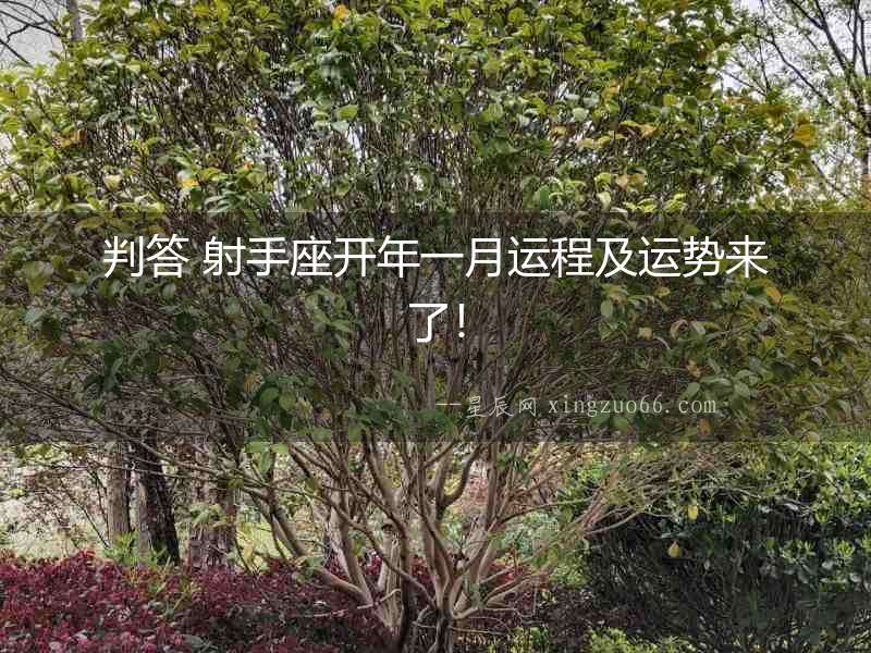 判答 射手座開年一月運程及運勢來了！